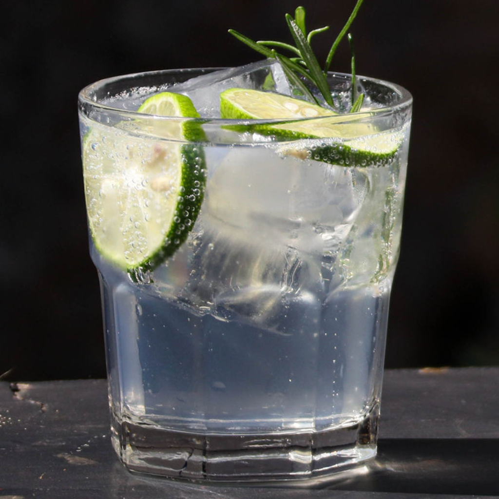 Gin Tonic